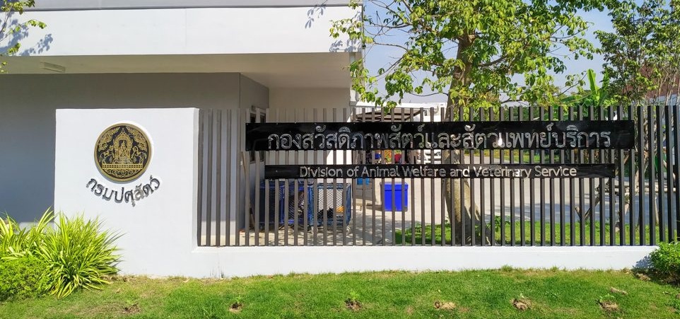 vsv