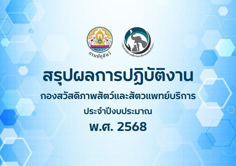 work2568