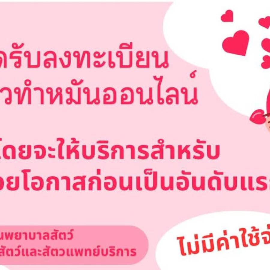 เปิดรับลงทะเบียนจองคิวทำหมันออนไลน์แล้ววันนี้