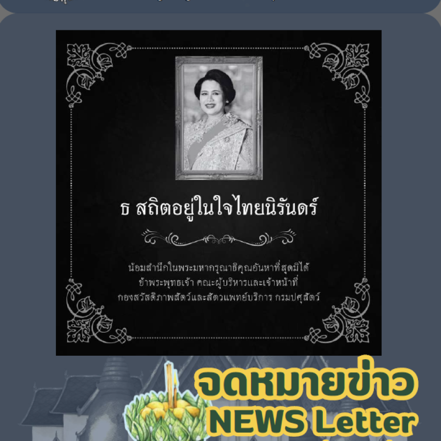 จดหมายข่าว ประจำเดือนพฤศจิกายน พ.ศ. 2568