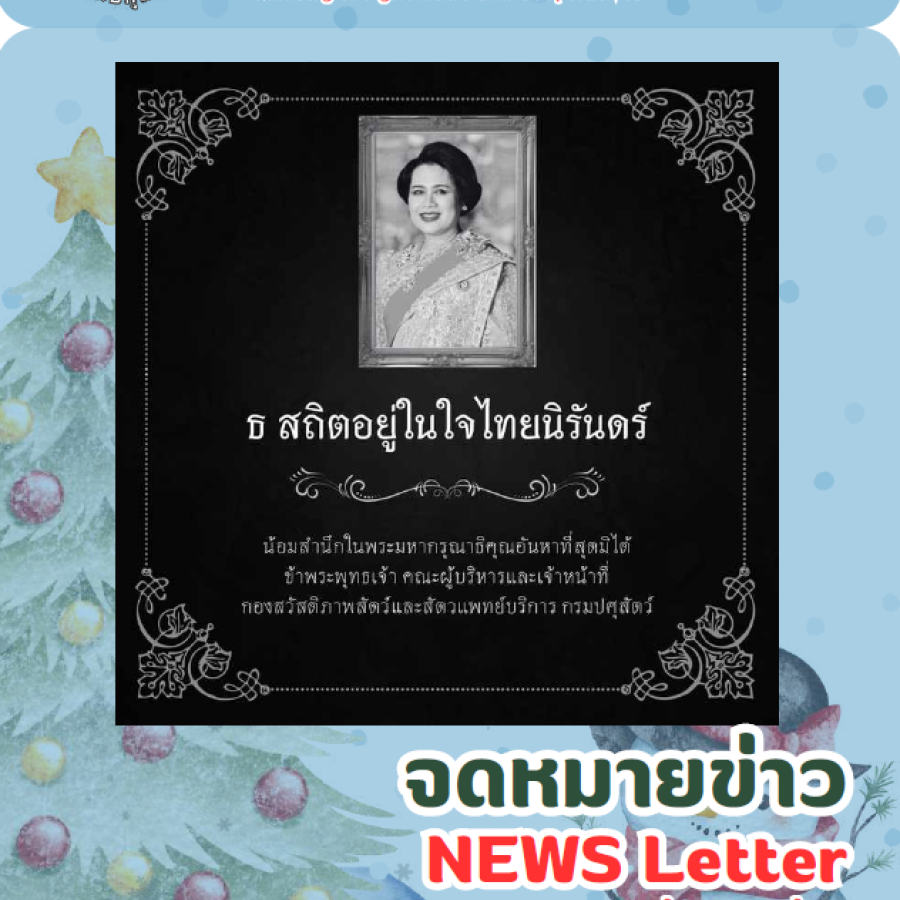 จดหมายข่าว ประจำเดือนธันวาคม พ.ศ. 2568