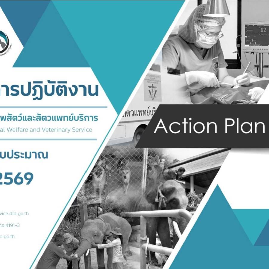 แผนการปฏิบัติงาน ประจำปีงบประมาณ พ.ศ. 2569