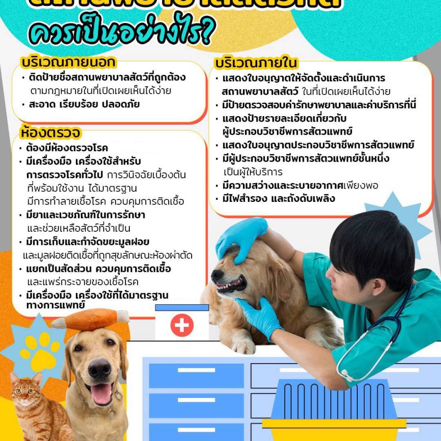 สถานพยาบาลสัตว์ที่ดี ควรเป็นอย่างไร ??