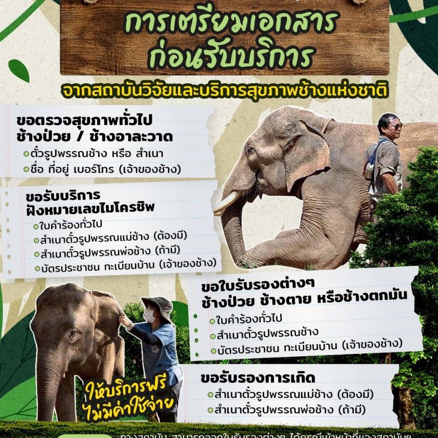 เจ้าของช้างต้องรู้ การเตรียมเอกสารก่อนเข้ารับบริการ จากสถาบันช้างฯ