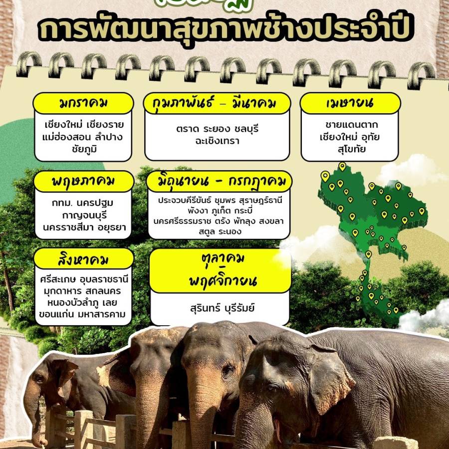 ปิดปฏิทิน การพัฒนาสุขภาพช้างประจำปี
