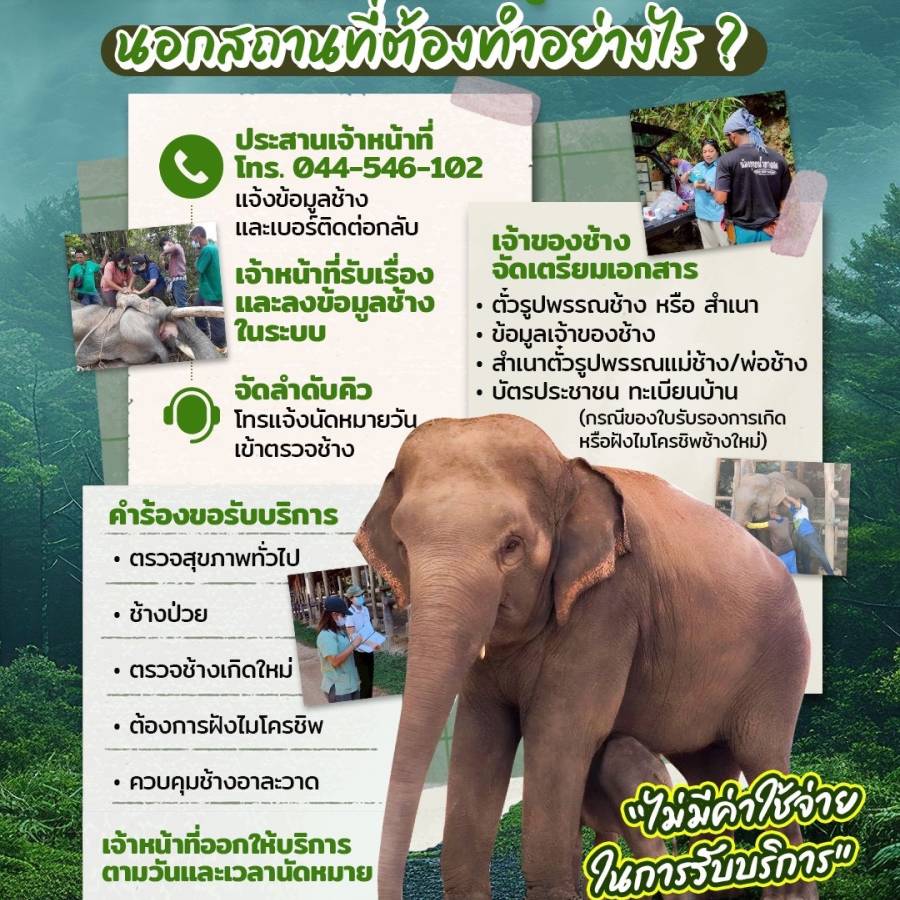 ขอรับบริการด้านสุขภาพช้าง นอกสถานที่ต้องทำอย่างไร ??