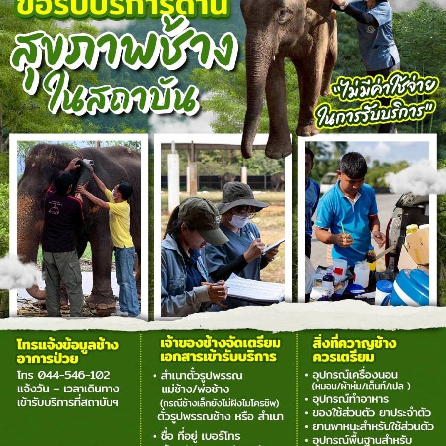 ขอรับบริการด้านสุขภาพช้างในสถาบันฯ
