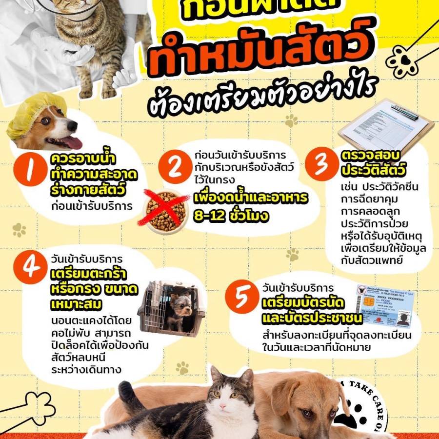 ก่อนผ่าตัดทำหมันสัตว์ ต้องเตรียมตัวอย่างไร ??