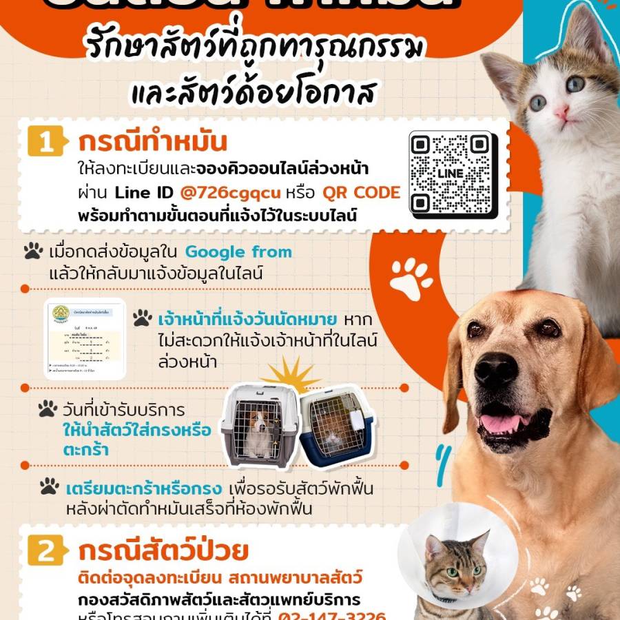 ขั้นตอนทำหมัน รักษาสัตว์ที่ถูกทารุณกรรม และสัตว์ด้อยโอกาส 