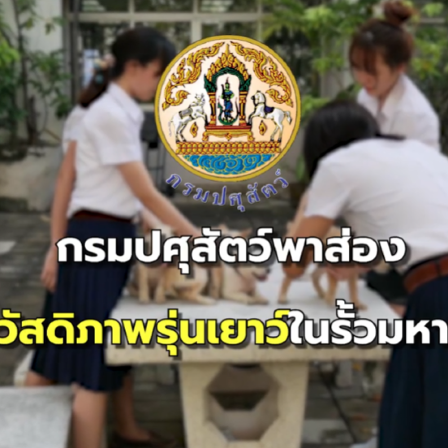 ปศุสัตว์พาส่อง นักจัดสวัสดิภาพรุ่นเยาว์ในรั้วมหาวิทยาลัย