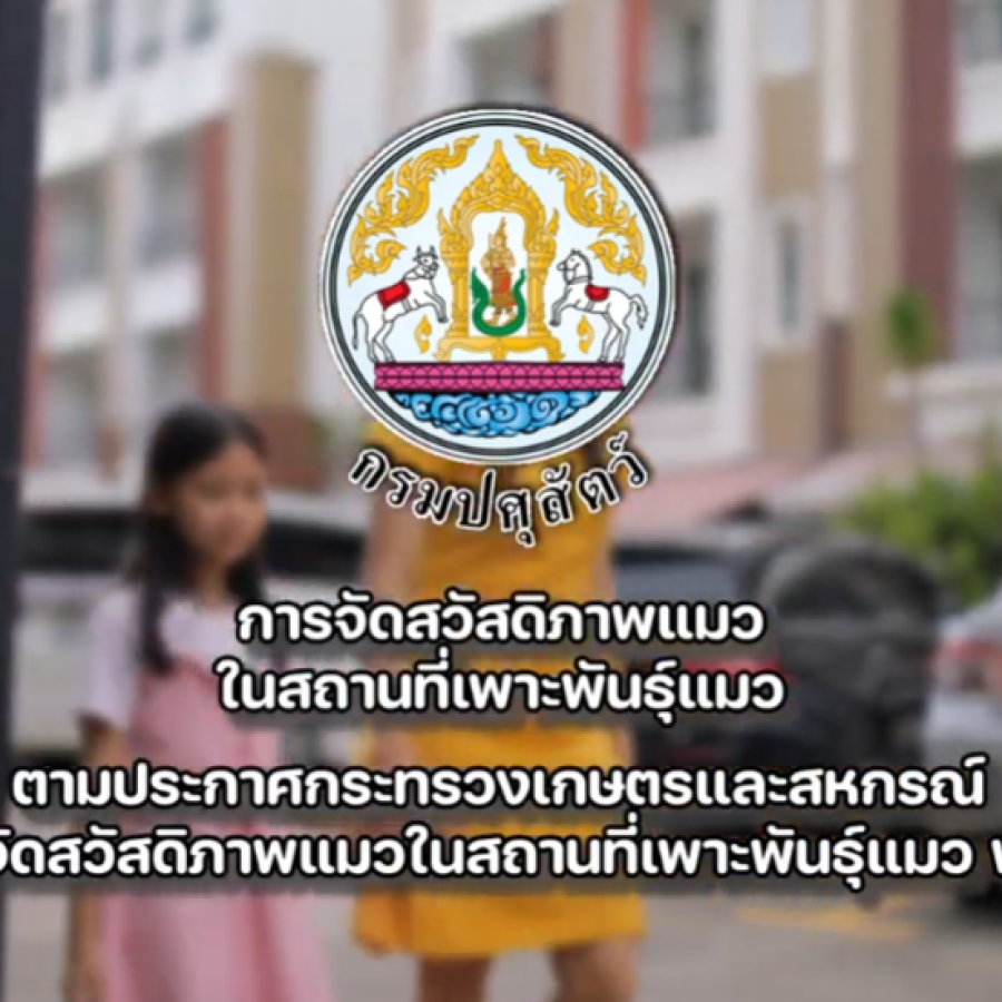 การจัดสวัสดิภาพแมวในสถานที่เพาะพันธุ์แมว พ.ศ. 2563