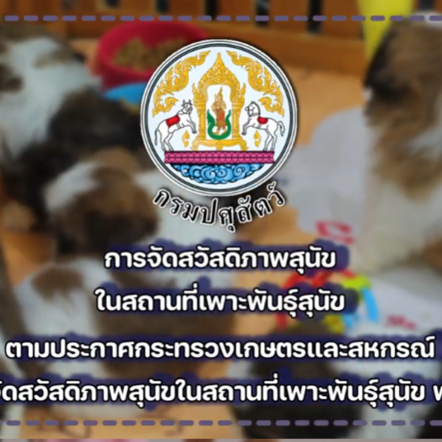การจัดสวัสดิภาพสุนัขในสถานที่เพาะพันธุ์สุนัข พ.ศ. 2563