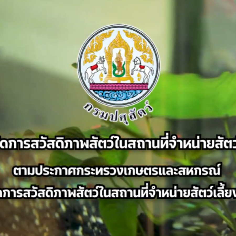 การจัดสวัสดิภาพสัตว์ในสถานที่จำหน่ายสัตว์เลี้ยง พ.ศ. 2563