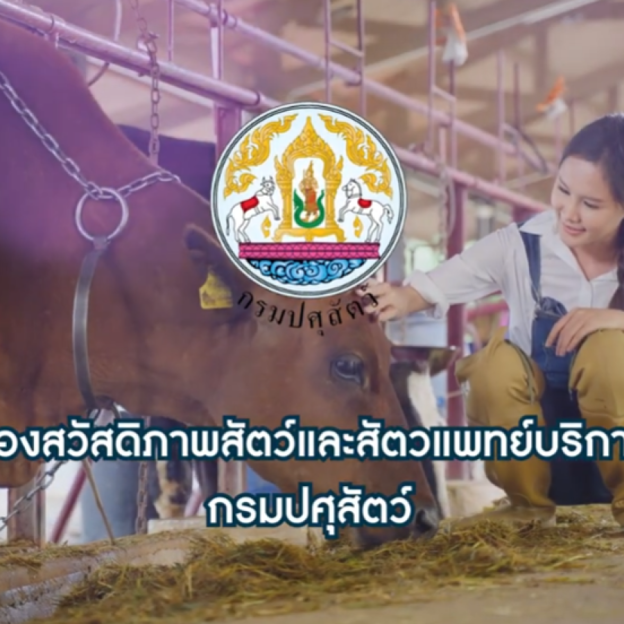 แนะนำกองสวัสดิภาพสัตว์และสัตวแพทย์บริการ กรมปศุสัตว์ (ช)