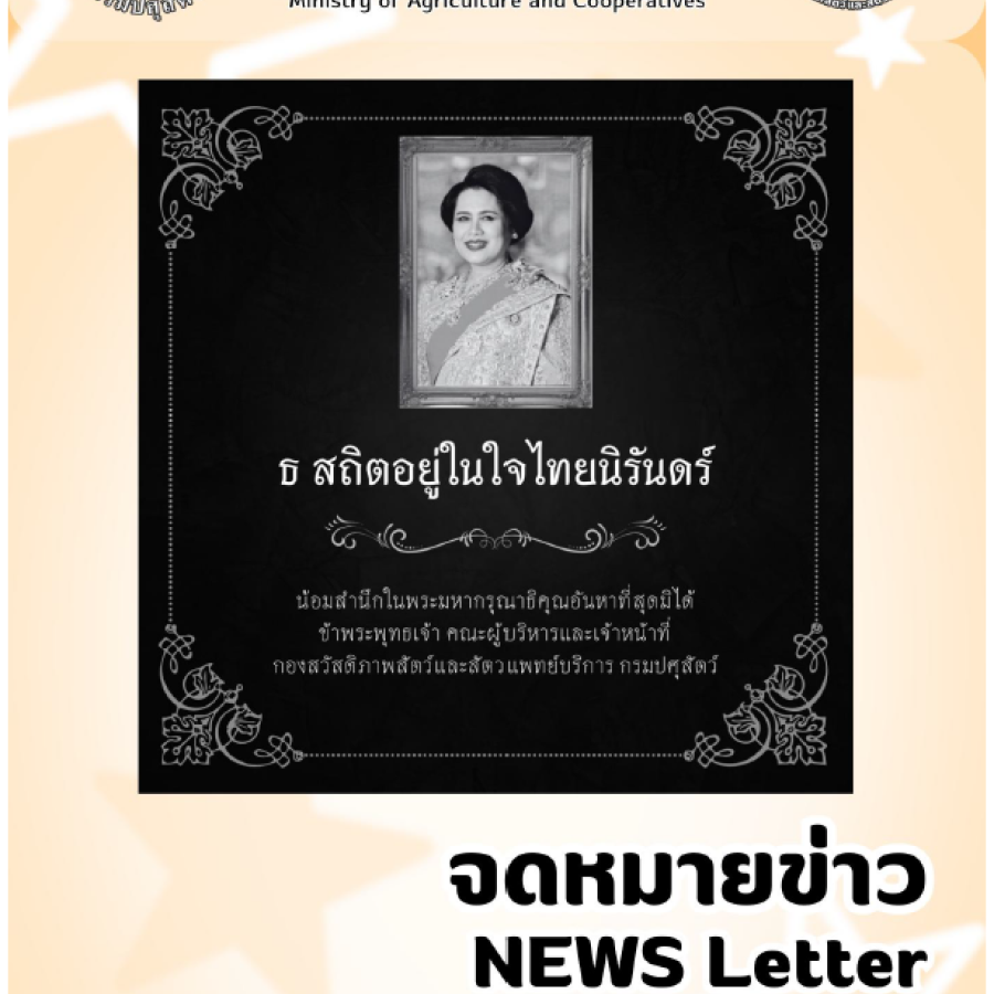 จดหมายข่าว ประจำเดือนมกราคม พ.ศ. 2569