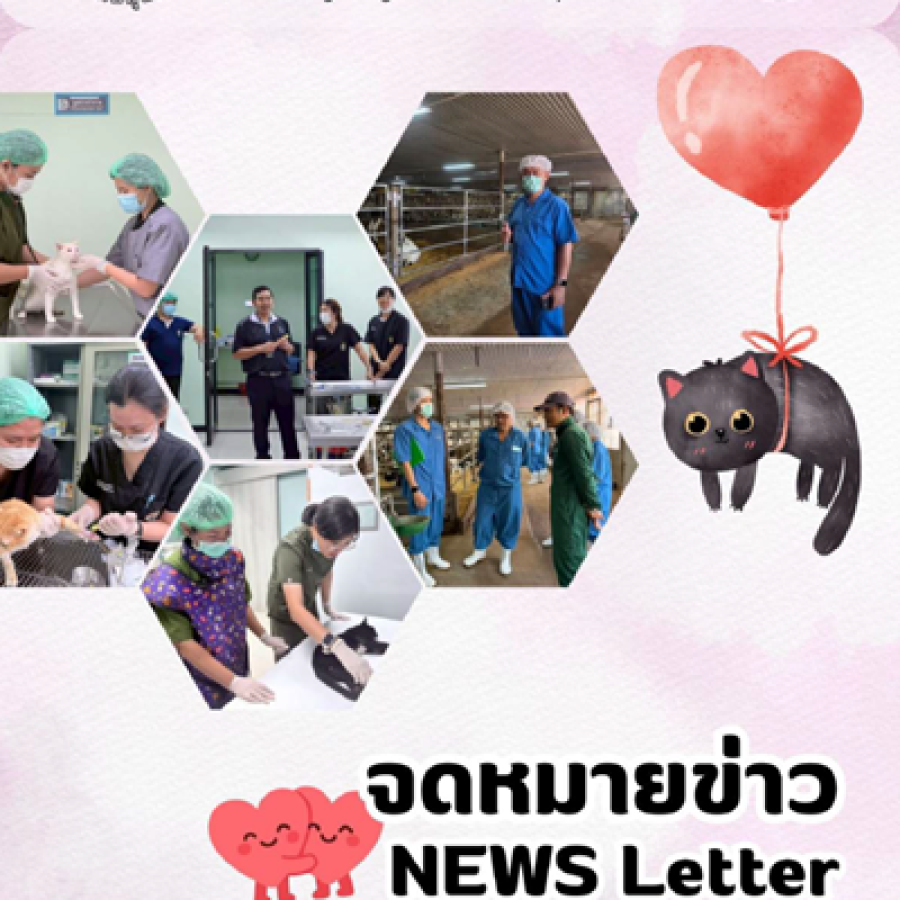 จดหมายข่าว ประจำเดือนกุมภาพันธ์ พ.ศ. 2569