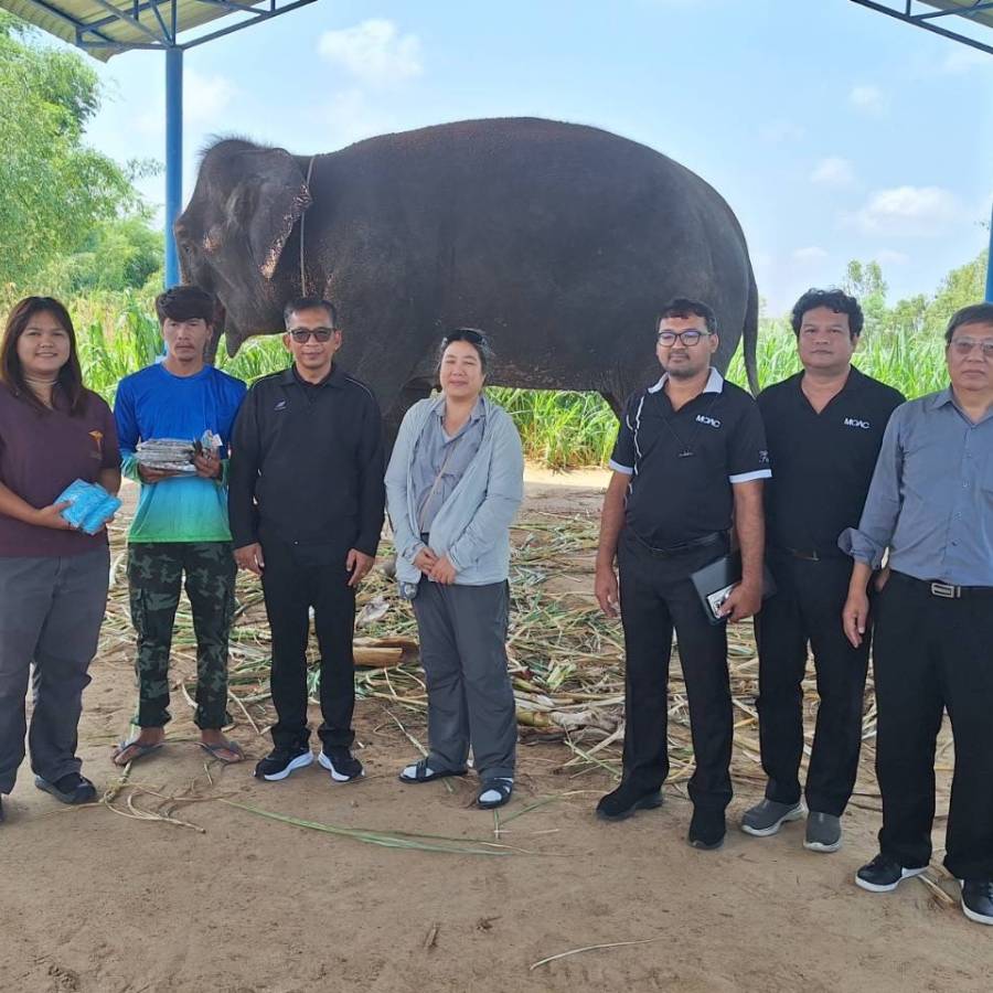 สถาบันวิจัยและบริการสุขภาพช้างแห่งชาติ นำคณะติดตามงานจากกองสวัสดิภาพสัตว์และสัตวแพทย์บริการ ลงพื้นที่ภายในจังหวัดสุรินทร์