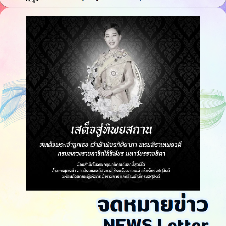 จดหมายข่าว ประจำเดือนมิถุนายน พ.ศ. 2569