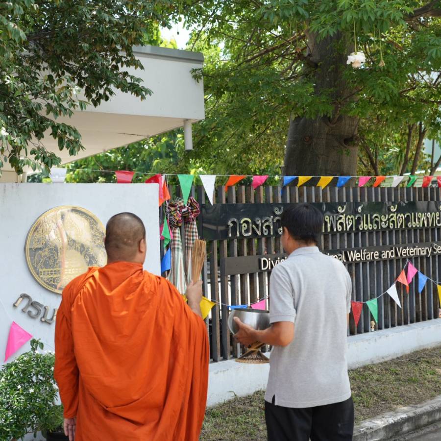 กองสวัสดิภาพสัตว์และสัตวแพทย์บริการ ไหว้สักการะสิ่งศักดิ์สิทธิ์ประจำศูนย์ราชการกรมปศุสัตว์ ถวายภัตตาหารเพลแด่พระสงฆ์ จำนวน 9 รูป เนื่องโอกาสวันครบรอบ 8 ปี กองสวัสดิภาพสัตว์และสัตวแพทย์บริการ วันที่ 4 กรกฎาคม 2569”