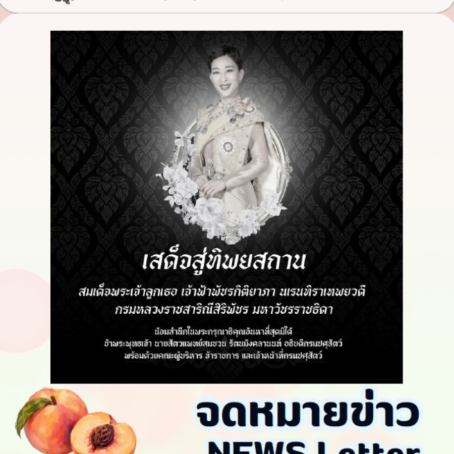 จดหมายข่าว ประจำเดือนกรกฎาคม พ.ศ. 2569