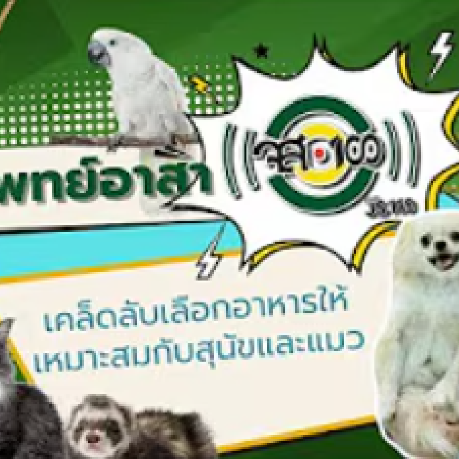 สัตวแพทย์อาสาจส.100 : การเลือกอาหารให้เหมาะสมกับสุนัขและแมว