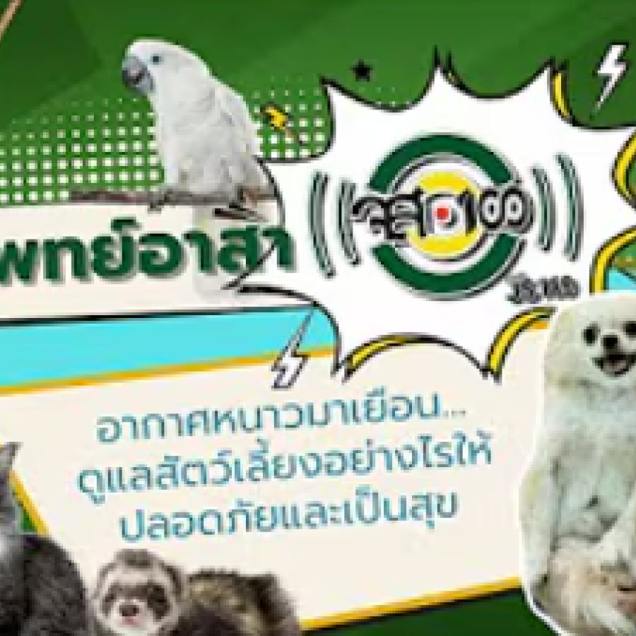 สัตวแพทย์อาสา จส100 อากาศหนาวมาเยือน ดูแลสัตว์เลี้ยงอย่างไร ให้ปลอดภัย และเป็นสุข