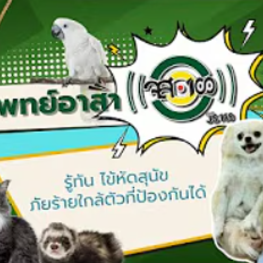 สัตวแพทย์อาสา จส.100 : รู้ทันไข้หัดสุนัข