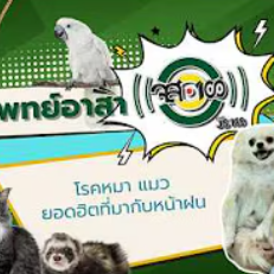 สัตวแพทย์อาสา จส100 :  “โรคหมา แมวยอดฮิตที่มากับหน้าฝน”