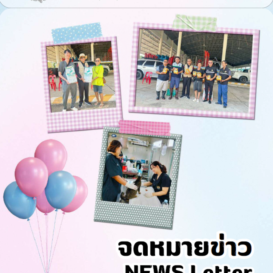 จดหมายข่าว ประจำเดือนตุลาคม พ.ศ. 2569